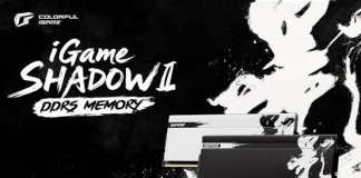 COLORFUL iGame Shadow II DDR5 RAM modules with ink-wash heatsink design and customizable RGB lighting, optimized for AMD Ryzen 9000 platform